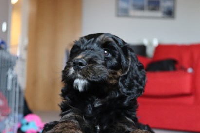 8543893816246980297_IMG_1819