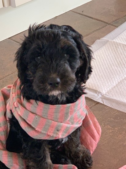 CppIcb7iRNmbnqWprOkliw