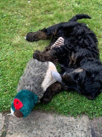 K2CeINeOQ2e4%gBdcp5fVg