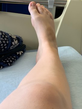 bw8hdgs8QmOQ7XqhxXyN+Q