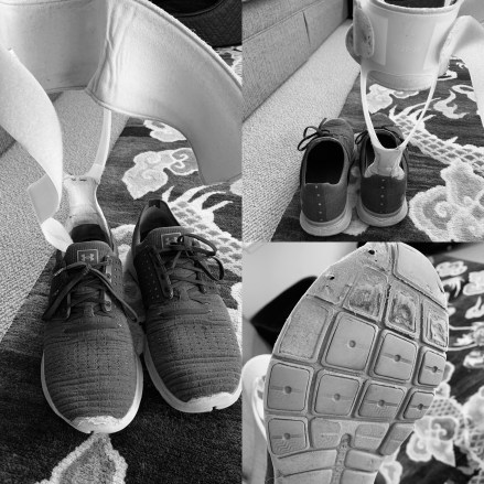 CA3A0E83-A8E0-41AE-8B48-522F0095D280